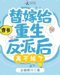 穿书：替嫁给重生反派后离不掉了