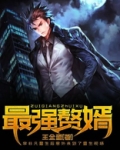 最强赘婿林阳苏颜小说免费阅读