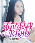 霸道总裁求抱抱的小说
