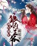 神医萌妃：狼性王爷霸道宠
