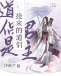 捡来的道侣是男主免费阅读笔趣阁
