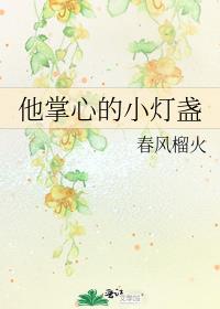 他掌心的小灯盏女主出轨片段怎么没有了