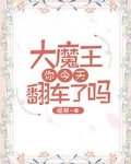 大魔王你今天翻车了吗