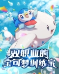 双职业的宝可梦训练家