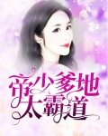 帝少是我爹地