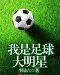 我是足球小明星