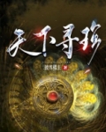 天下寻珍小说免费阅读