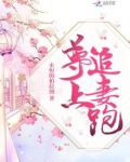 尊上追妻跑 小说