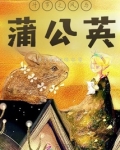 斗罗之风与蒲公英
