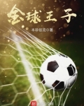 金球王子全文免费阅读
