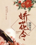 娇花令全文免费阅读
