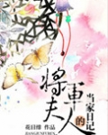 将军夫人的当家日记
