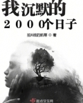 我沉默的2000个日子是什么歌