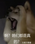 啊她们都是真的笔趣阁小说