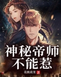 神秘帝师不能惹百度网盘下载