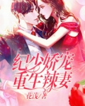 重生纪少宠妻无度