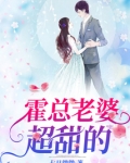 霍总的前妻