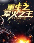 重生之军火之王TXT