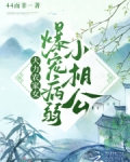 大力农家女的战神王爷