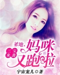 三宝来袭爹地妈咪又跑了免费阅读