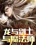 最弱剑士与STK魔法师小说