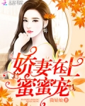 娇妻在上,蜜蜜宠!