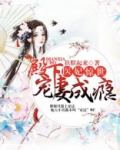 医妃惊世:殿下宠妻成瘾小说