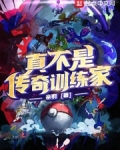 精灵之传奇训练家TXT下载