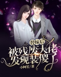 替嫁后,被残废大佬发现装傻了