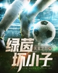 绿茵之子小说