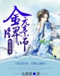 驭灵传奇:金牌元素师