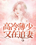 陆晏臣顾泠泠免费阅读