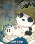 四合院我的身份不一般免费阅读