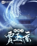 红楼之贾玉京