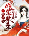 一胎八宝:腹黑娘亲天才娃完整版小说免费读