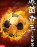 绿茵帝王笔趣阁