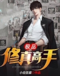 极品修真高手