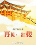 再见,红楼 反防盗