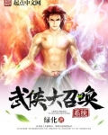 武侠之召唤大秦罗网