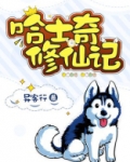 哈士奇的自我修养