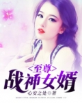 至尊战神女婿