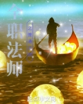全职法师全职