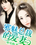 邪魅总裁的爱妻全文阅读
