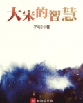 大宋的智慧笔趣阁