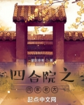 四合院之闫家老大笔趣阁