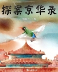 探案异录视频