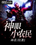 神眼小农民刘富贵小说