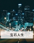宝石人生