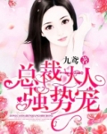 总裁大人强势宠爱皇甫圣华夏筱筱全文免费阅读小说