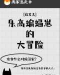 乐高蝙蝠崽的大冒险综英美 小说